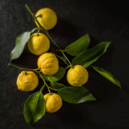 Yuzu
