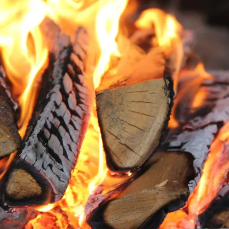 Feu de bois