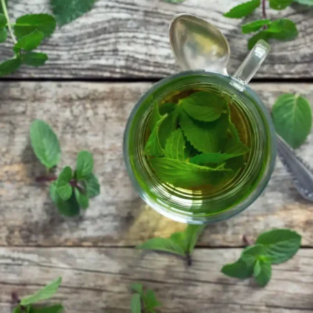 Menthe fraichearomazaluti | allsens b. V.