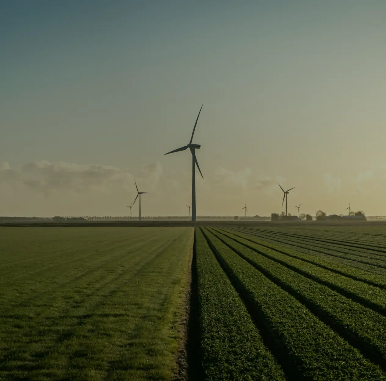 Duurzaamheid-eerste-sections